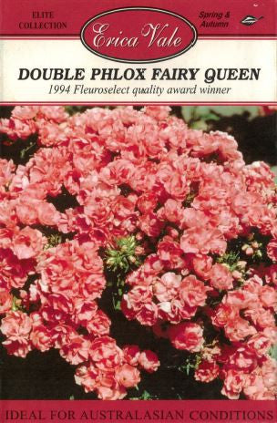 Double Phlox Fairy Queen