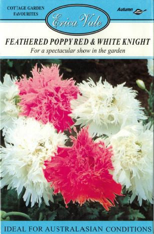 Feathered Poppy Red and White Knight