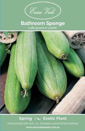 Bathroom Sponge