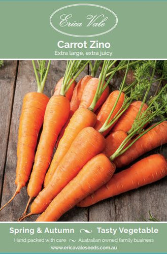 Carrot Zino