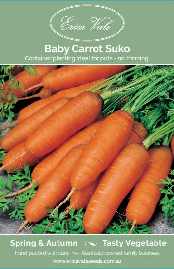 Baby Carrot Suko