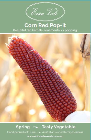 Corn Red Pop-it (Not for sale WA)