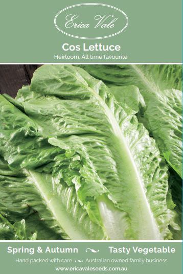 Cos Lettuce