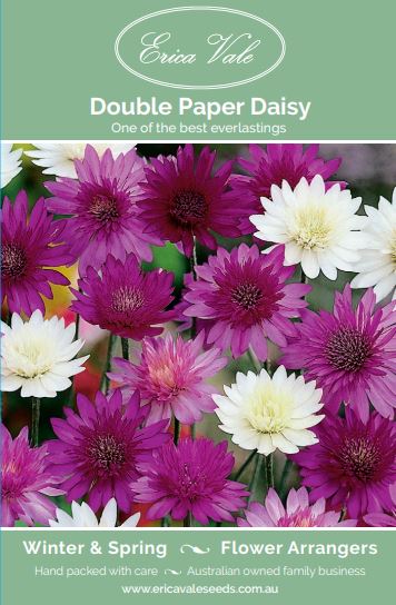 Double Paper Daisy