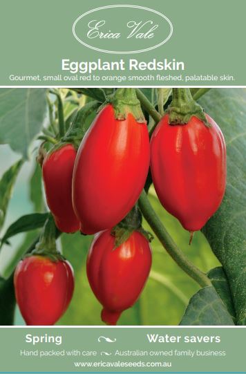 Eggplant Redskin