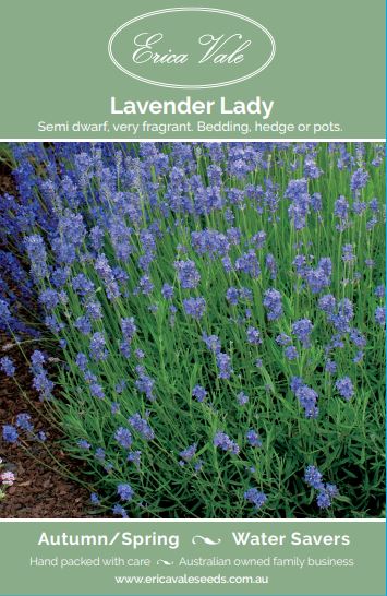 Lavender Lady – Buy Seeds Online