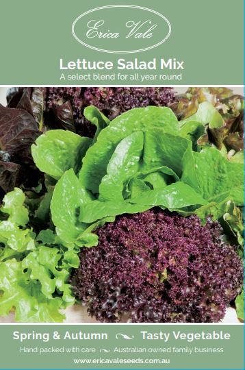 Lettuce Salad Mixed