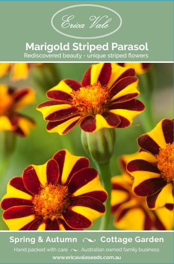Marigold Striped Parasol