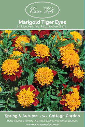 Marigold Tiger Eyes