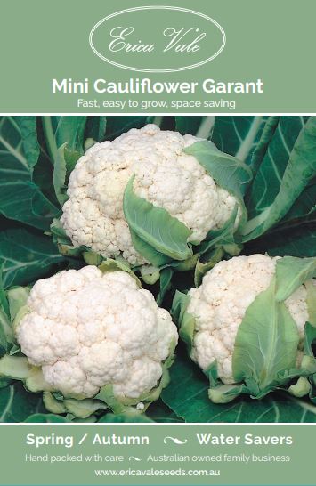 Mini Cauliflower Garant