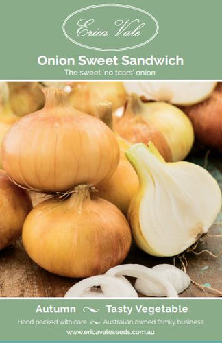 Onion Sweet Sandwich F1