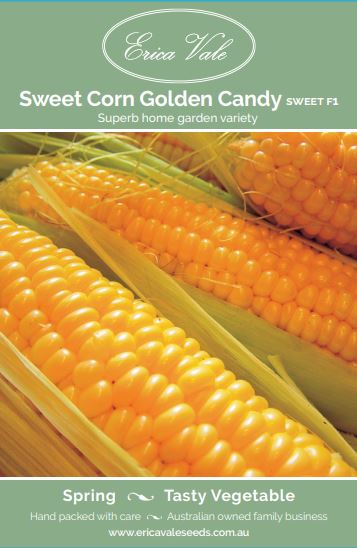 Sweet Corn Golden Candy Sweet F1 (Not for sale WA)