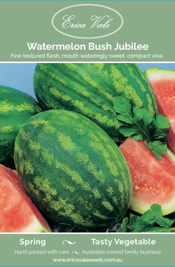 Watermelon Bush Jubilee