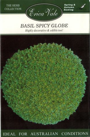 Basil Spicy Globe