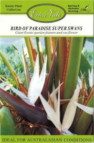 Bird of Paradise Super Swans