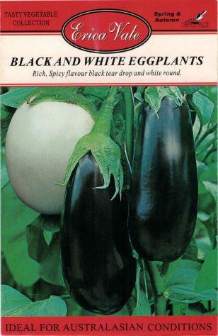 Black & White Eggplant