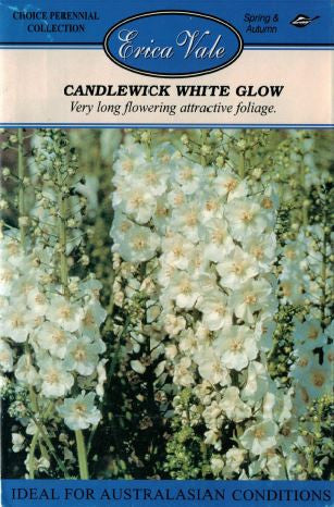 Candlewick White Glow