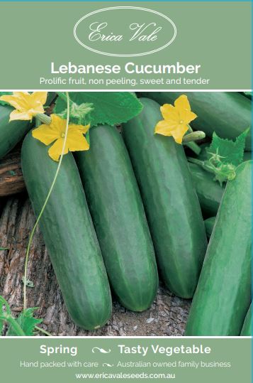 Lebanese Cucumber