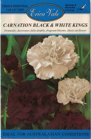 Carnation Black and White Kings