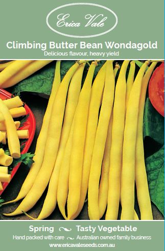 Climbing Butter Bean Wondagold