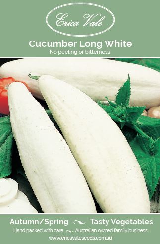 Cucumber Long White