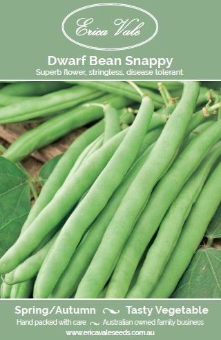 Dwarf Bean Snappy