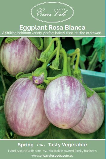 Eggplant Rosa Bianca