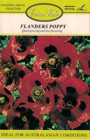 Flanders Poppy