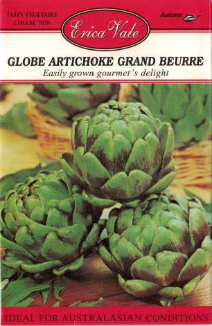 Globe Artichoke Grand Beurre