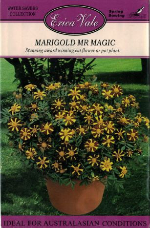 Marigold Mr Magic