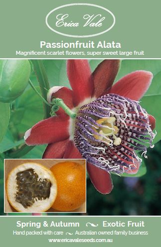 Passionfruit Alata