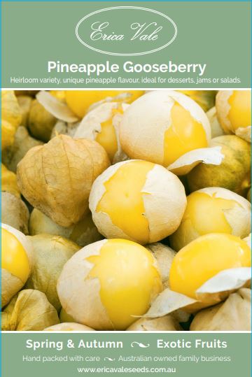 Pineapple Gooseberry