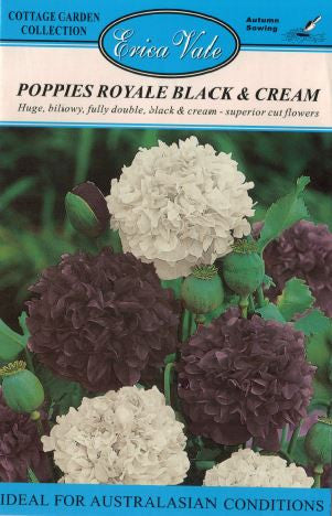Poppies Royale Black and Cream