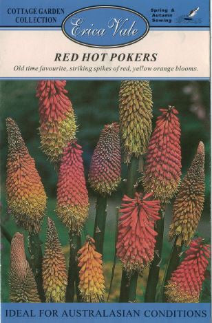 Red Hot Pokers