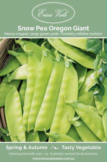 Snowpea Oregon Giant