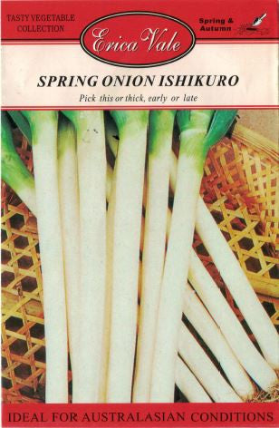 Spring Onion Ishikuro