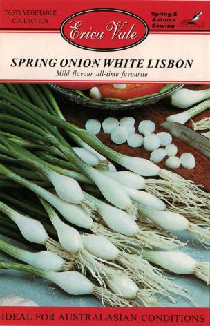 Spring Onion White Lisbon