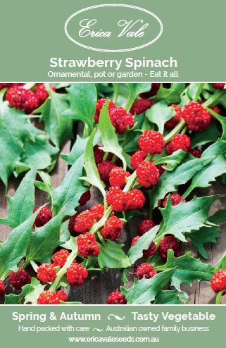 Strawberry Spinach  (Not for sale WA)