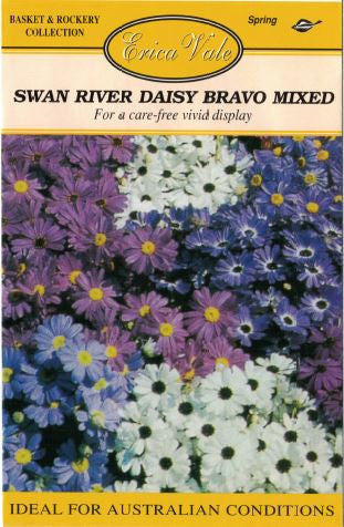 Swan River Daisy Bravo Mixed