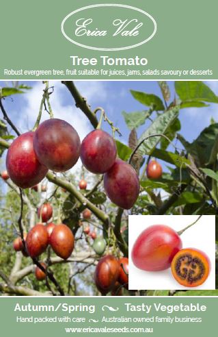 Tree Tomato