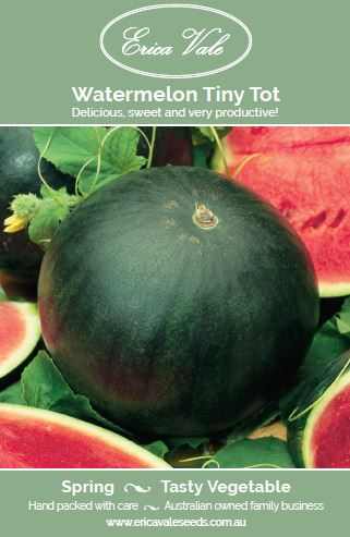 Watermelon Tiny Tot