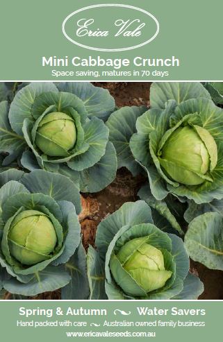 Mini Cabbage Crunch