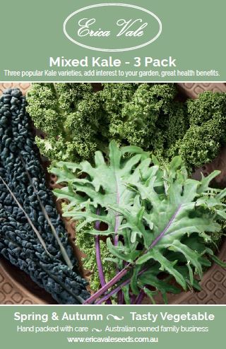 Mixed Kale - 3 pack